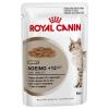 Royal Canin Ageing +12 in...