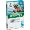 advantage® 100 mg für Hunde