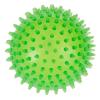 TPR Spiky Ball large - 2 