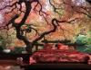 Selbstklebende Tapete - Fototapete Wald Japanische