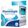 Param Kinesiologie Sport ...