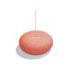 Google Home Mini Coral