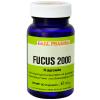 Gall Pharma Fucus 2000 Ka...