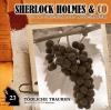 Sherlock Holmes & Co 23: 