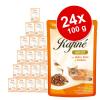 Sparpaket Animonda Rafiné 24 x 100 g - Vielfalt in