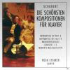 Hugo Steurer - Die Schöns...