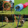 Agility Fun & Sport Komplett-Set - Sparpaket mit 4