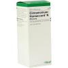 Cinnamomum Homaccord N Tr...