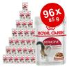 Sparpaket Royal Canin 96 x 85 g - Mix V: Sterilise
