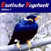 Various - Exotische Vogelwelt Ed.1 - (CD)