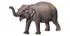 tiptoi® Spielfigur Asiatischer Elefant
