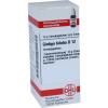 Ginkgo Biloba D 12 Globul