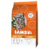 IAMS Pro Active Health Adult mit viel Huhn - 3 kg
