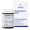 Weleda Bryophyllum 50% Tr...