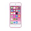 Apple iPod touch 32 GB Pi
