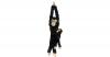 Hanging Monkeys Schimpans...