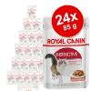 Sparpaket Royal Canin 24 x 85 g - Ultra Light in S