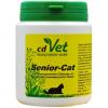 cd Vet Senior-Cat
