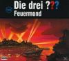 Die drei ??? - 125: Feuer...