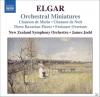 New Zeal Symphony Orchest...