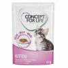 Concept for Life Kitten -