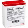 Staphylococcus-Injeel® Am...