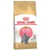 Royal Canin British Shorthair Kitten - 400 g