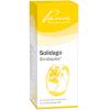 Solidago Similiaplex® Tro...