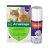 Bayer Set Katze