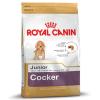 Royal Canin Cocker Junior - 2 x 3 kg
