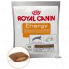 Royal Canin Energy Belohnungssnack - 10 x 50 g