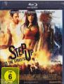 Step Up to the Streets - (Blu-ray)