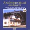 VARIOUS - A Schöne Musi A