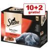 10 + 2 gratis! 12 x 85 g 