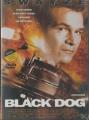 Black Dog - (DVD)