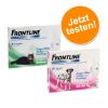 Frontline® Spot Set für Katzen & Hunde L - je 3 Pi