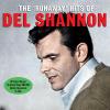 Del Shannon - Runaway Hit...