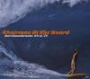 Various - Chairman Of The Board-Surf Soundtracks -