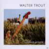 Walter Trout - Common Gro...