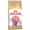 Royal Canin British Shorthair Kitten Sparpaket 2 x