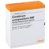 Cerebrum compositum NM Am