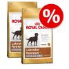 Sparpaket Royal Canin - Golden Retriever Adult (2 
