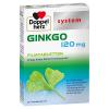 Doppelherz® system Ginkgo 120 mg