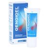 Gengigel Gel Tube