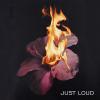 Just Loud - JUST LOUD - (MC (analog))