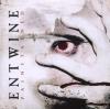 Entwine - Painstained - (...