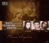 VARIOUS - Musica Angelica -...