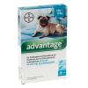 Advantage® 100 für Hunde - 100: 4-10 kg (4 Pipette