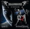 Dragonbound 10: Herzen aus Finsternis - 2 CD - Hör