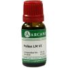 Pollen LM 6 Dilution